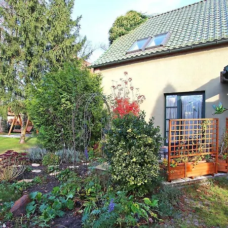 Ferienwohnungen Am Wald Templin Uck 1230 Apartmán Templin