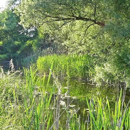 Ferienwohnungen Am Wald Templin Uck 1230 Apartmán *