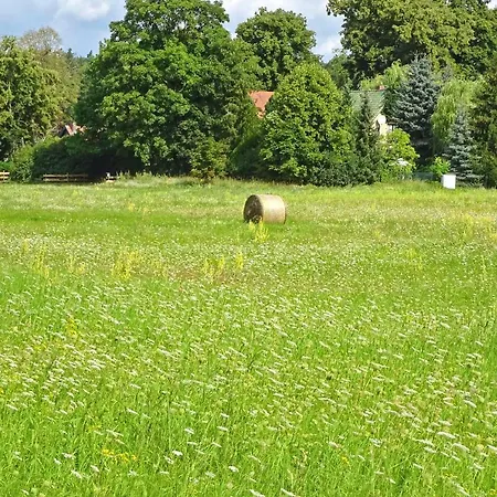 Ferienwohnungen Am Wald Templin Uck 1230 Templin